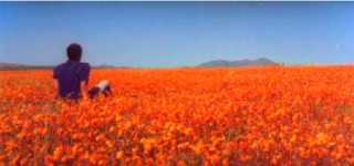 Namaqualand