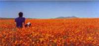 Namaqualand